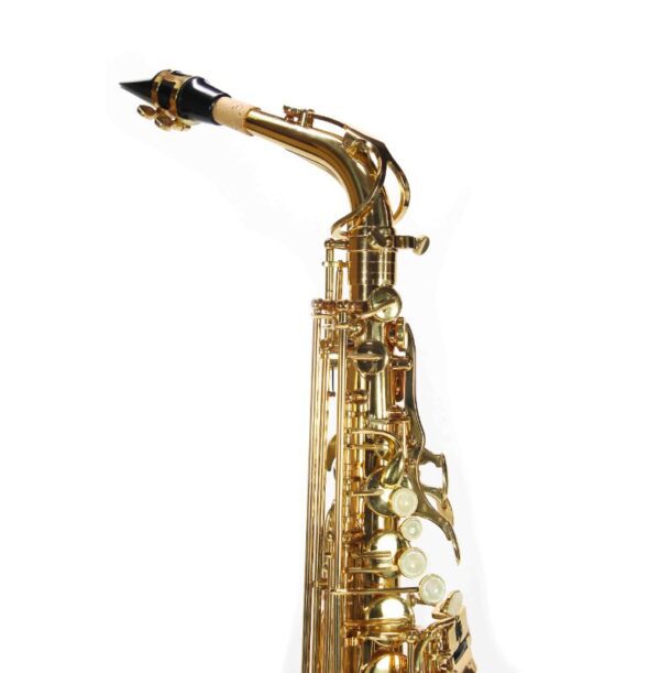 Saxofone Lumina Alto Eb Mi bemol Premium | Laqueado | Único