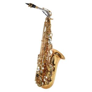 Saxofone Custom Alto Mib Taiwan Big Bell | Laqueado | Único