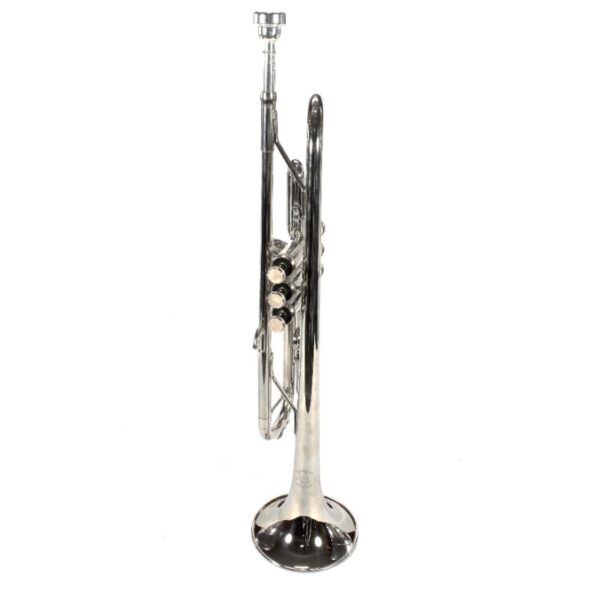Trompete Lumina Bb Premium Rosebrass | Niquelado | Único