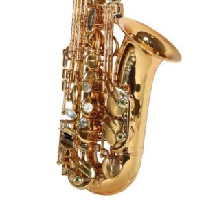 Saxofone Custom Alto Mib Taiwan Big Bell | Laqueado | Único