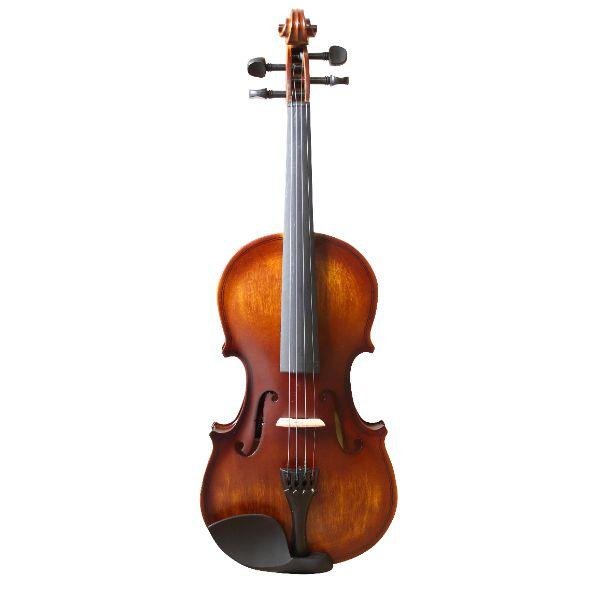 Violino Popular, Alto Brilho