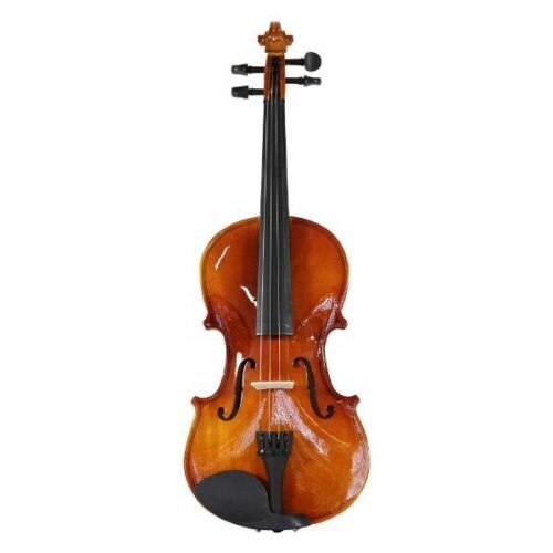 Violino Popular, Alto Brilho